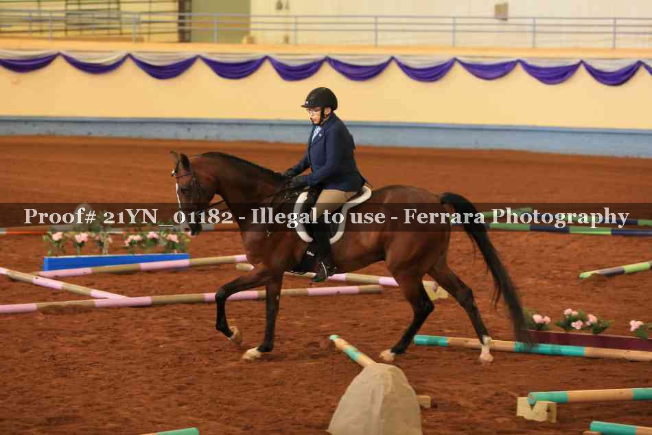 Proof 21YN_01182
