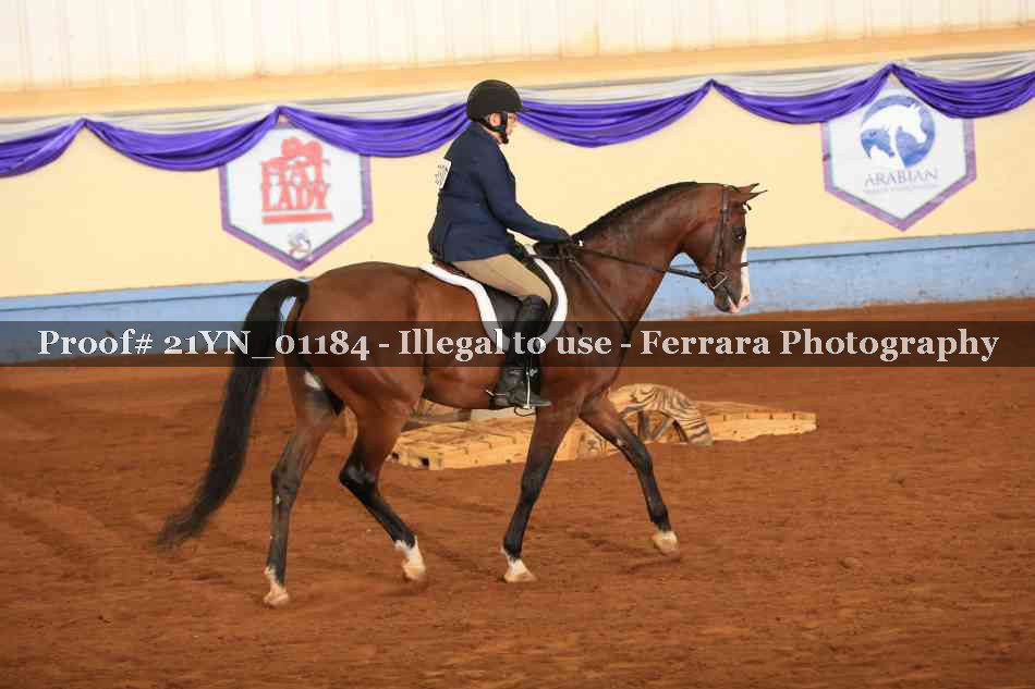 Proof 21YN_01184