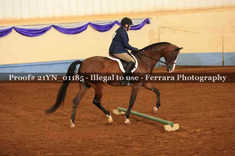 Proof 21YN_01185