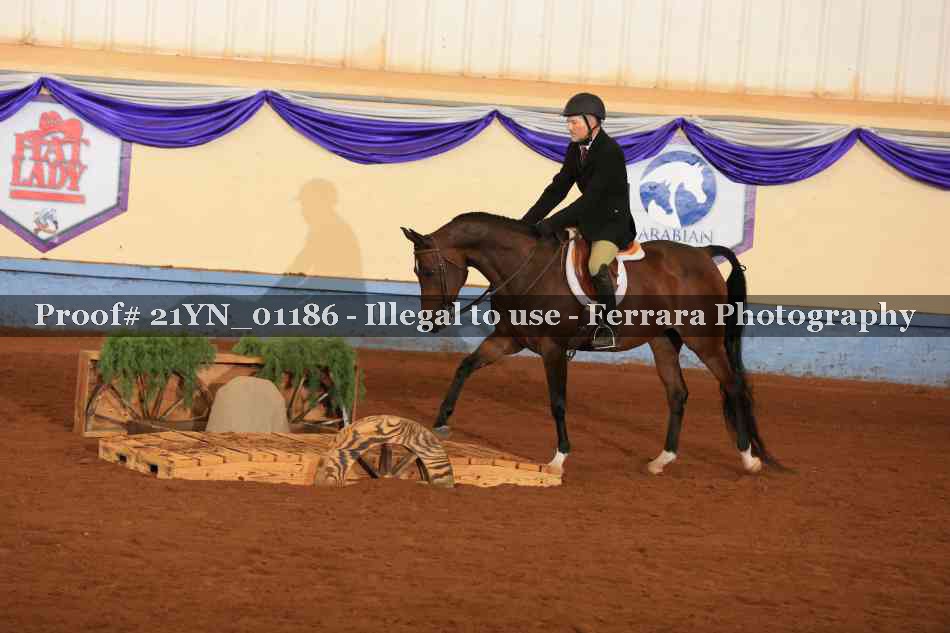 Proof 21YN_01186