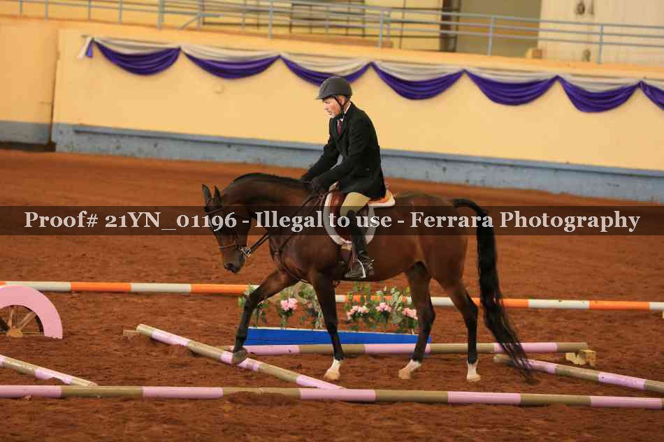 Proof 21YN_01196