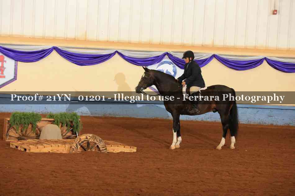Proof 21YN_01201