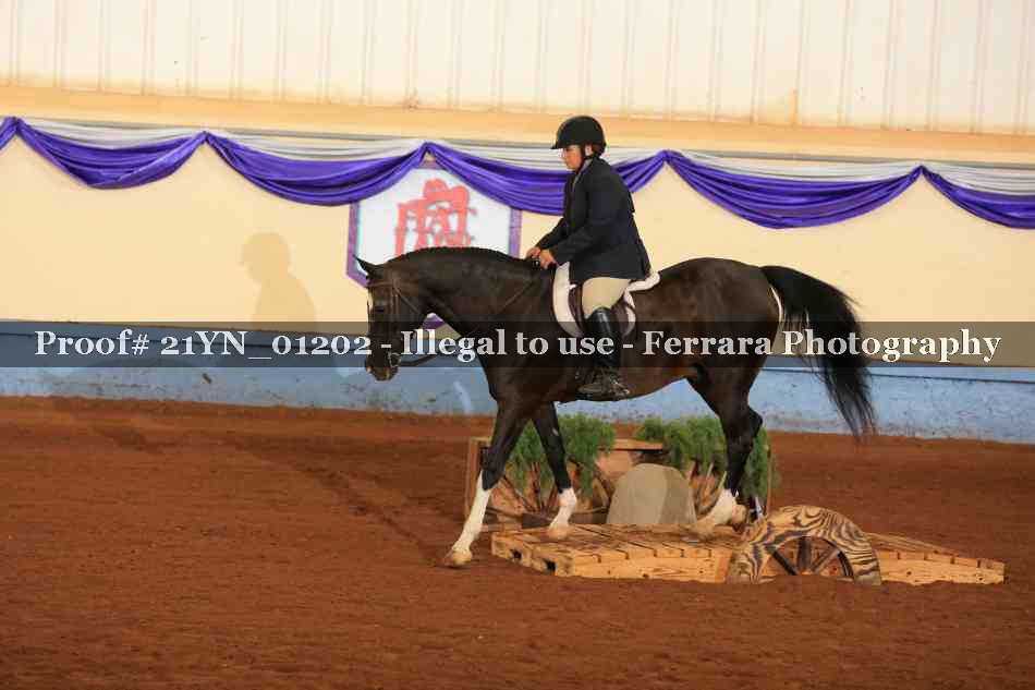 Proof 21YN_01202
