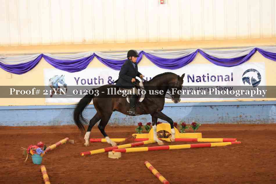 Proof 21YN_01203