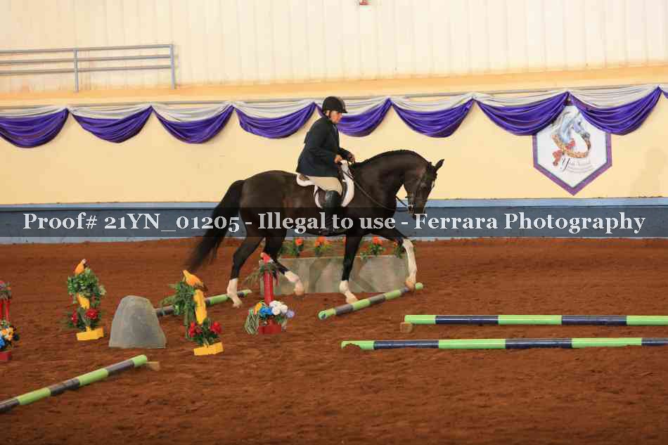 Proof 21YN_01205