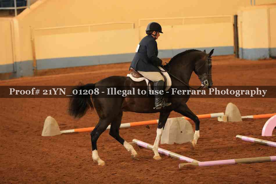 Proof 21YN_01208