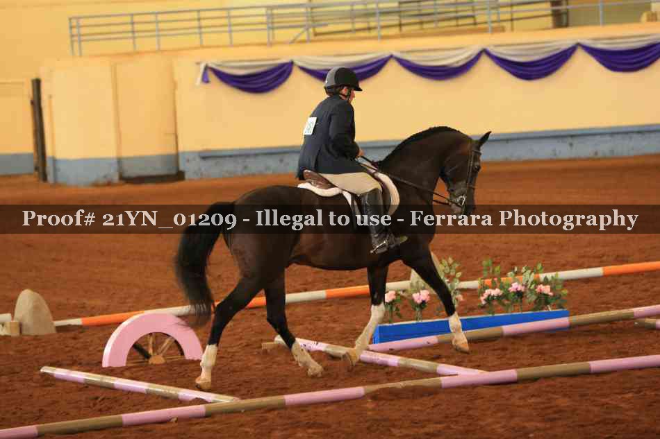 Proof 21YN_01209