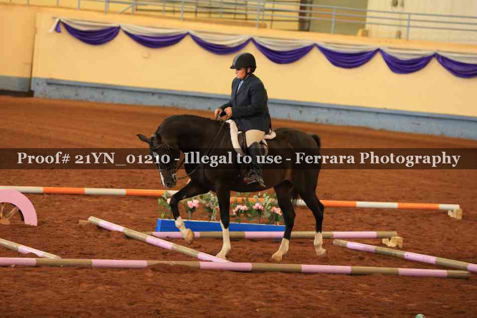 Proof 21YN_01210