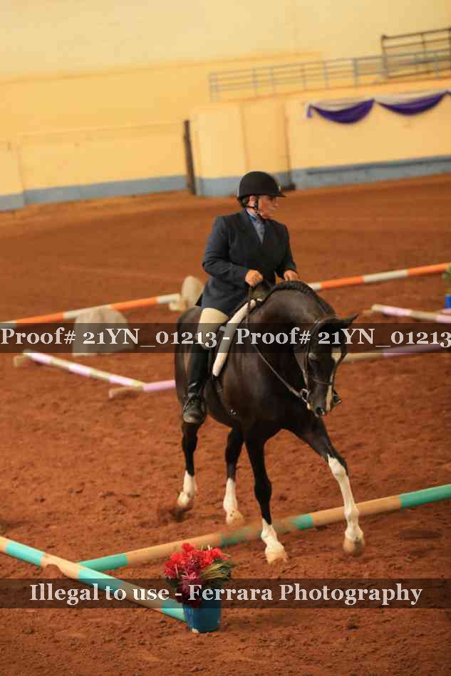Proof 21YN_01213