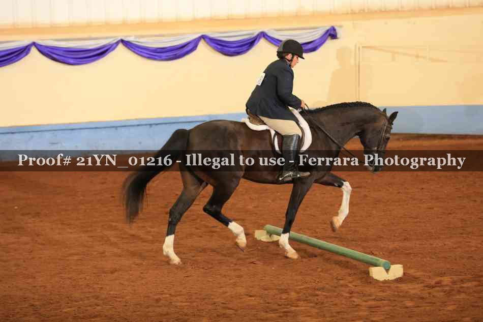 Proof 21YN_01216