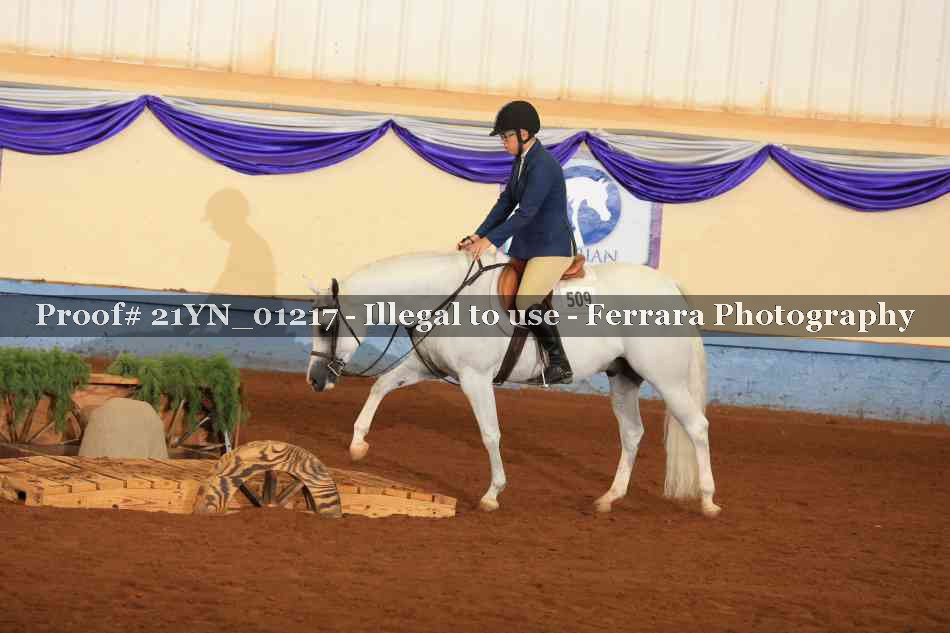 Proof 21YN_01217