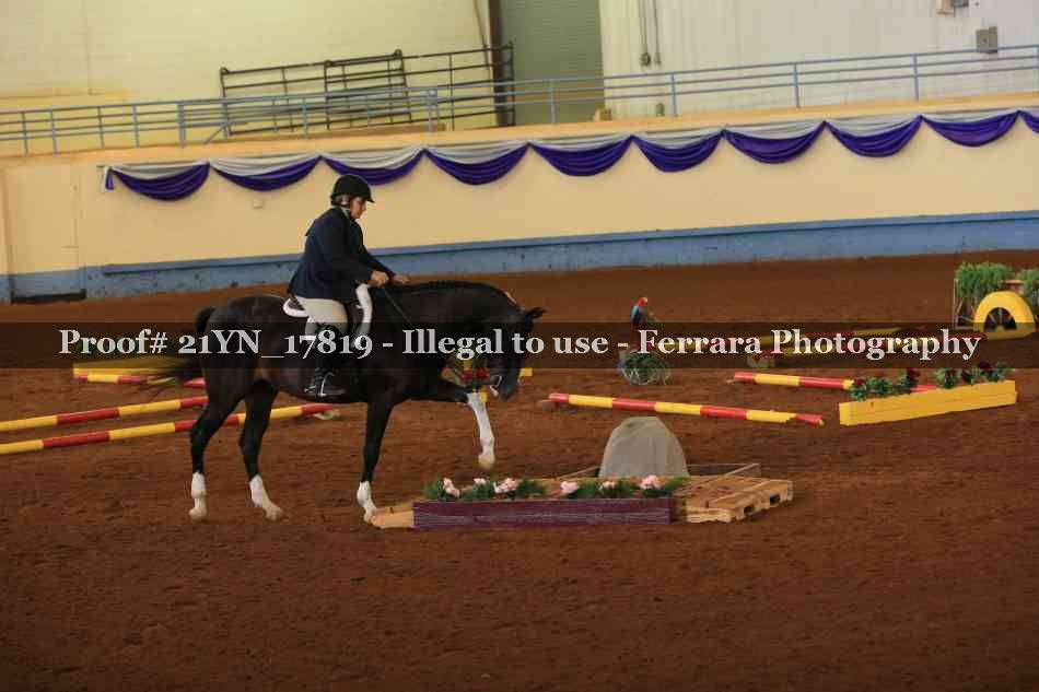 Proof 21YN_17819