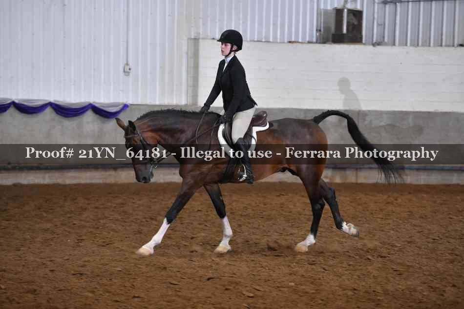 Proof 21YN_64181