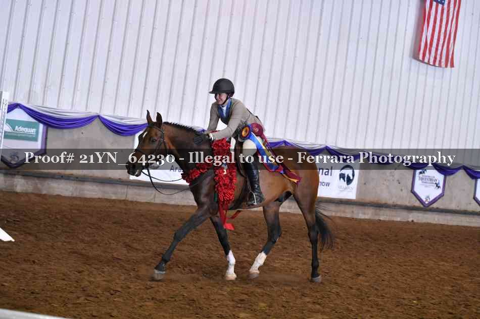 Proof 21YN_64230