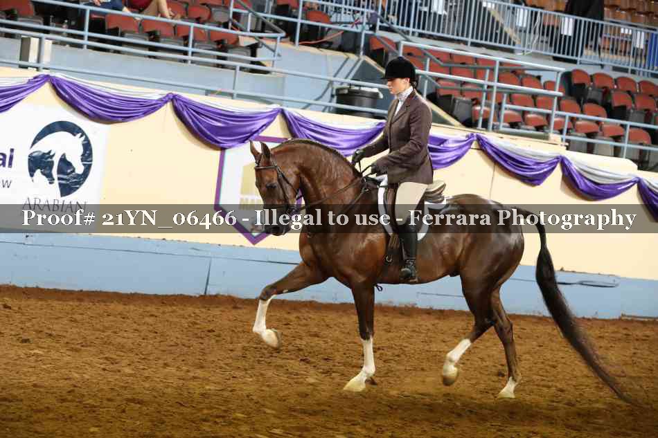Proof 21YN_06466