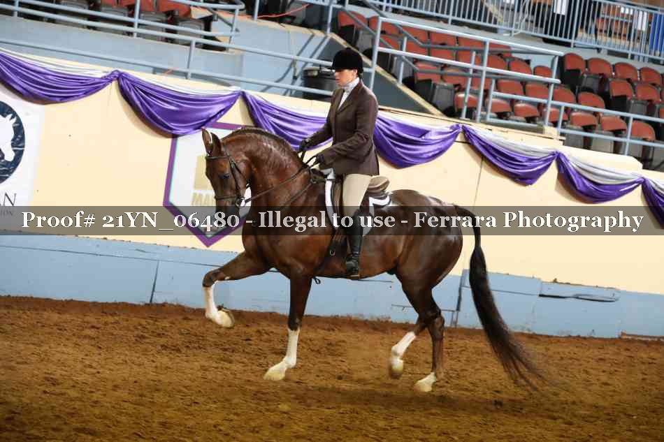 Proof 21YN_06480