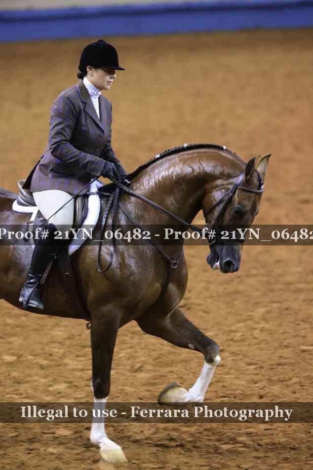 Proof 21YN_06482