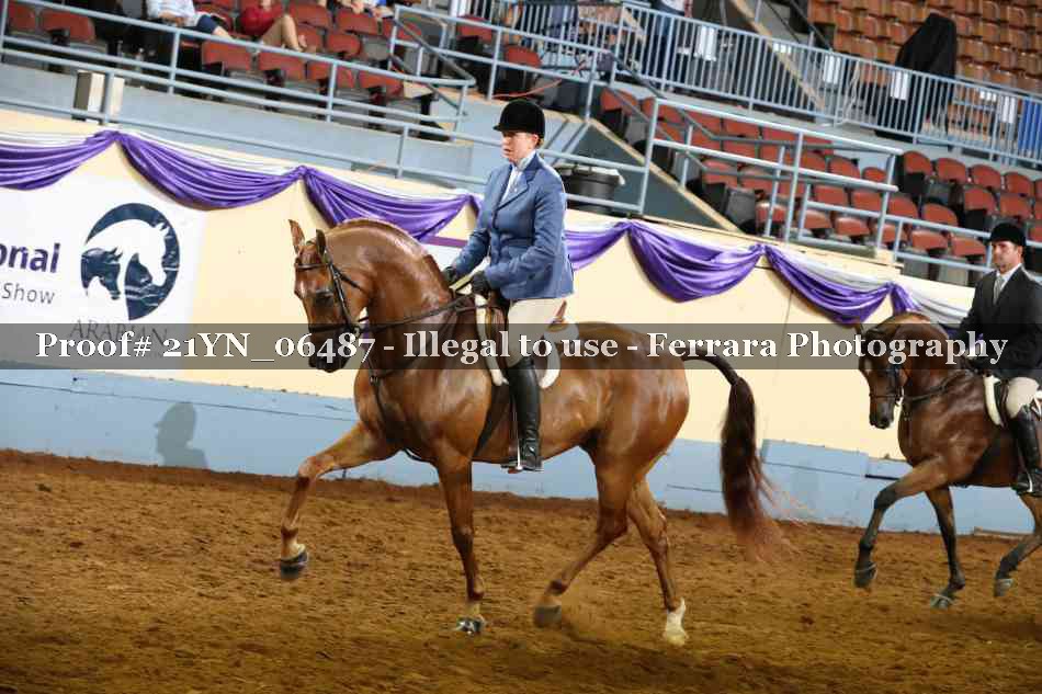 Proof 21YN_06487