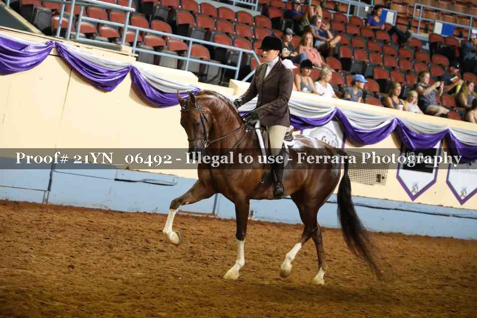 Proof 21YN_06492