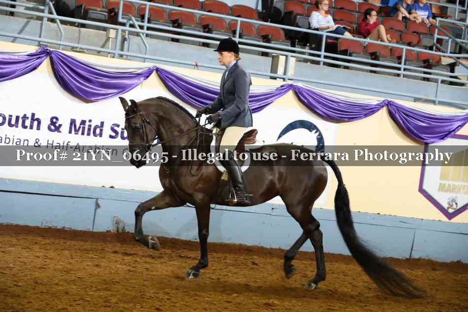 Proof 21YN_06495