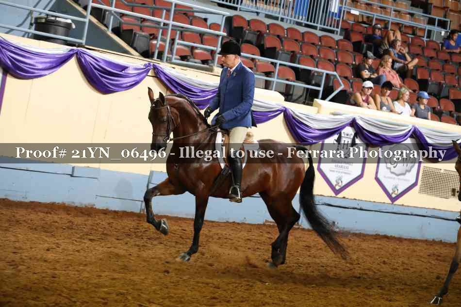 Proof 21YN_06496