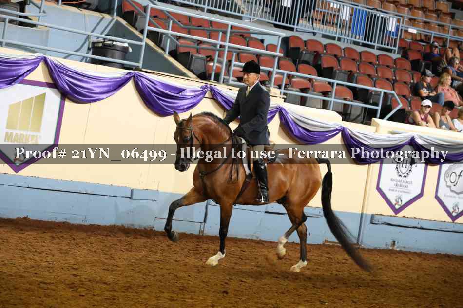Proof 21YN_06499