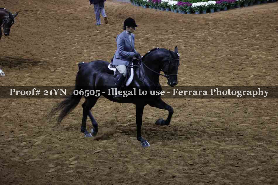Proof 21YN_06505