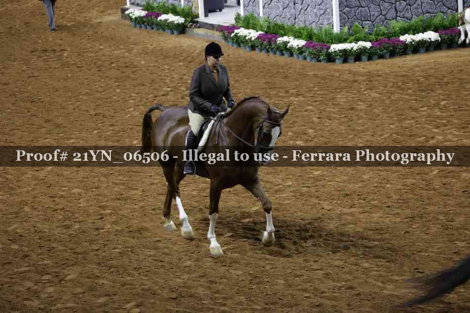 Proof 21YN_06506