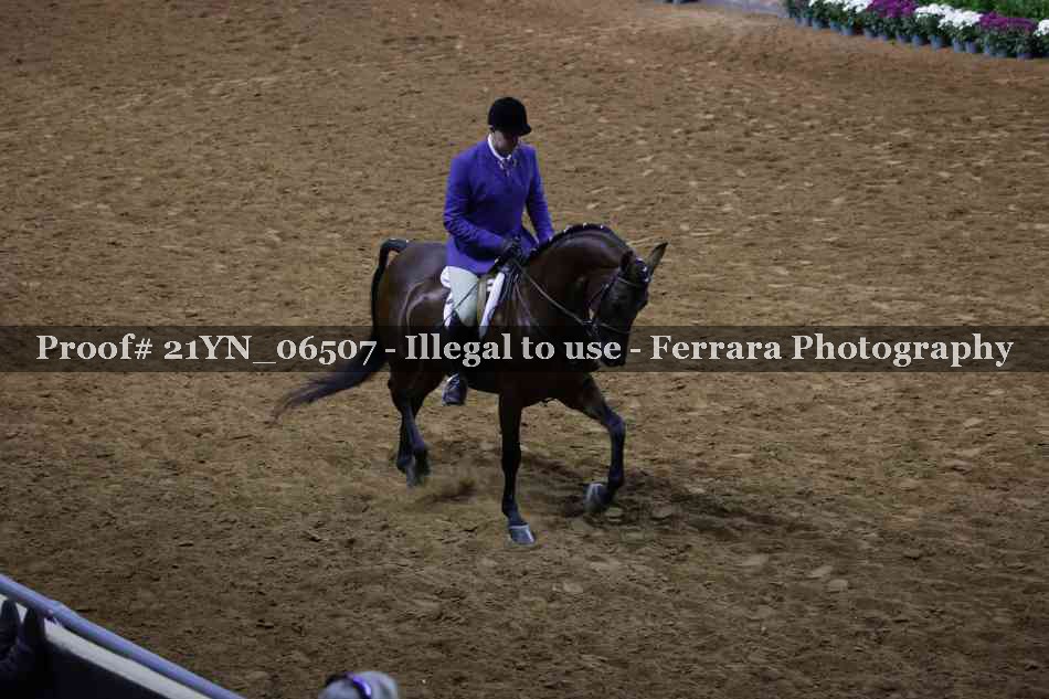 Proof 21YN_06507