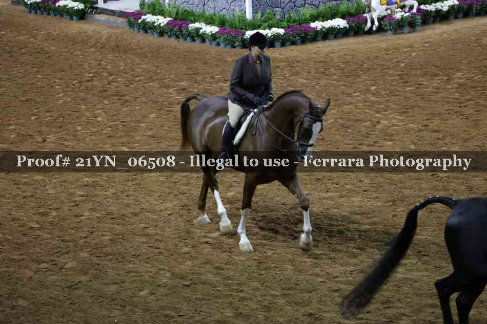 Proof 21YN_06508