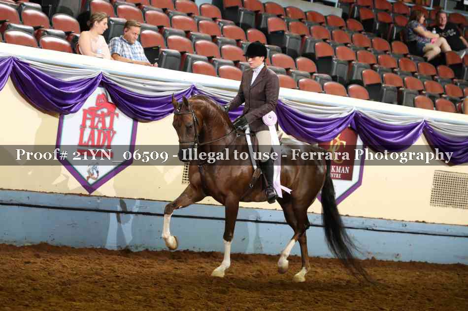 Proof 21YN_06509