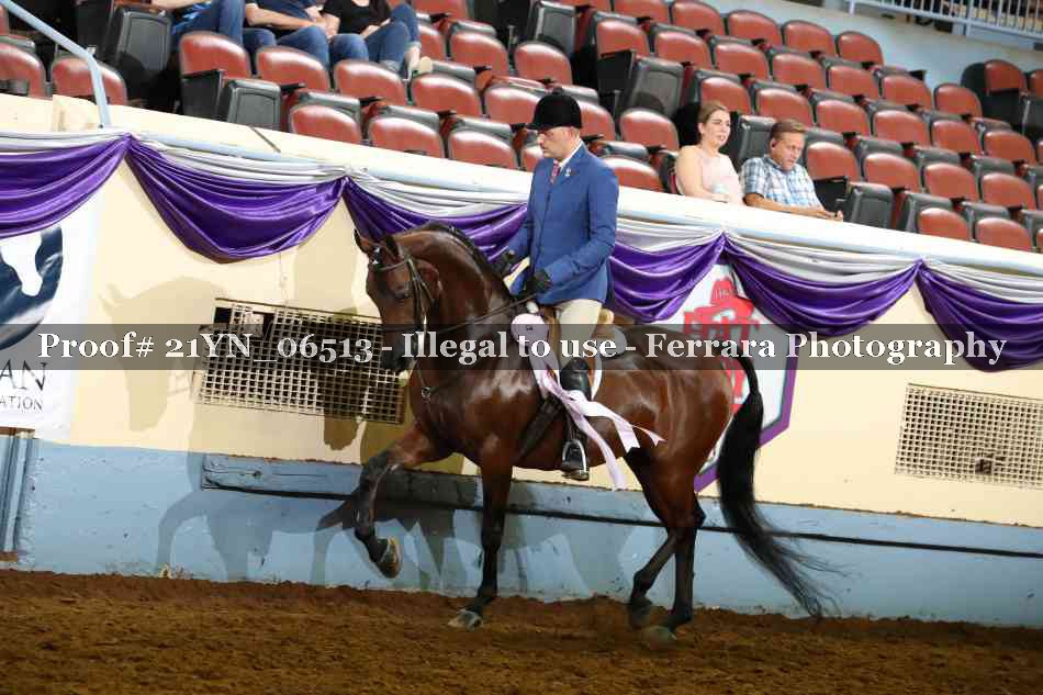 Proof 21YN_06513