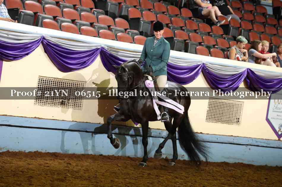 Proof 21YN_06515