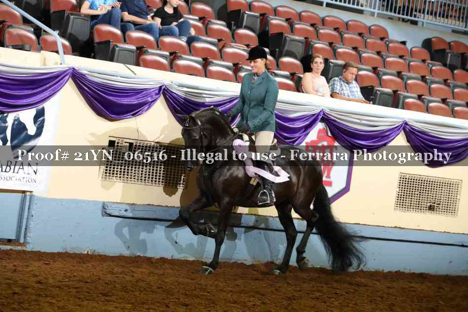 Proof 21YN_06516