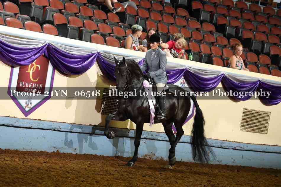 Proof 21YN_06518
