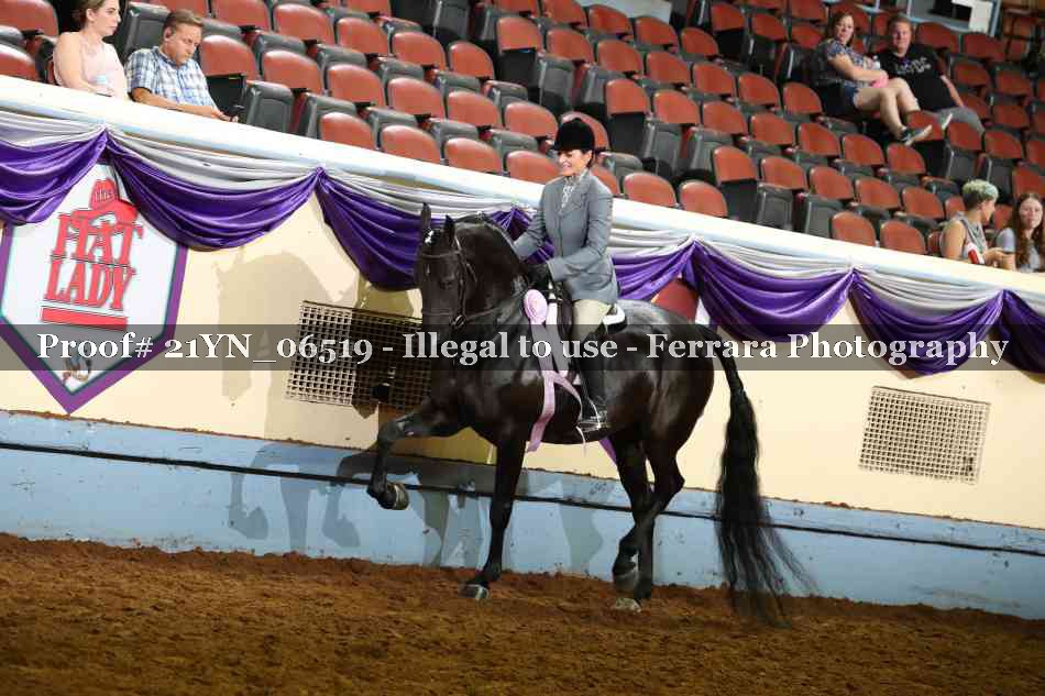 Proof 21YN_06519