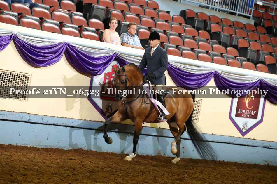 Proof 21YN_06523