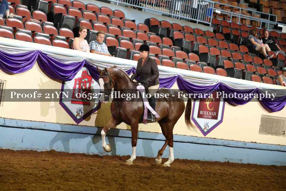 Proof 21YN_06527