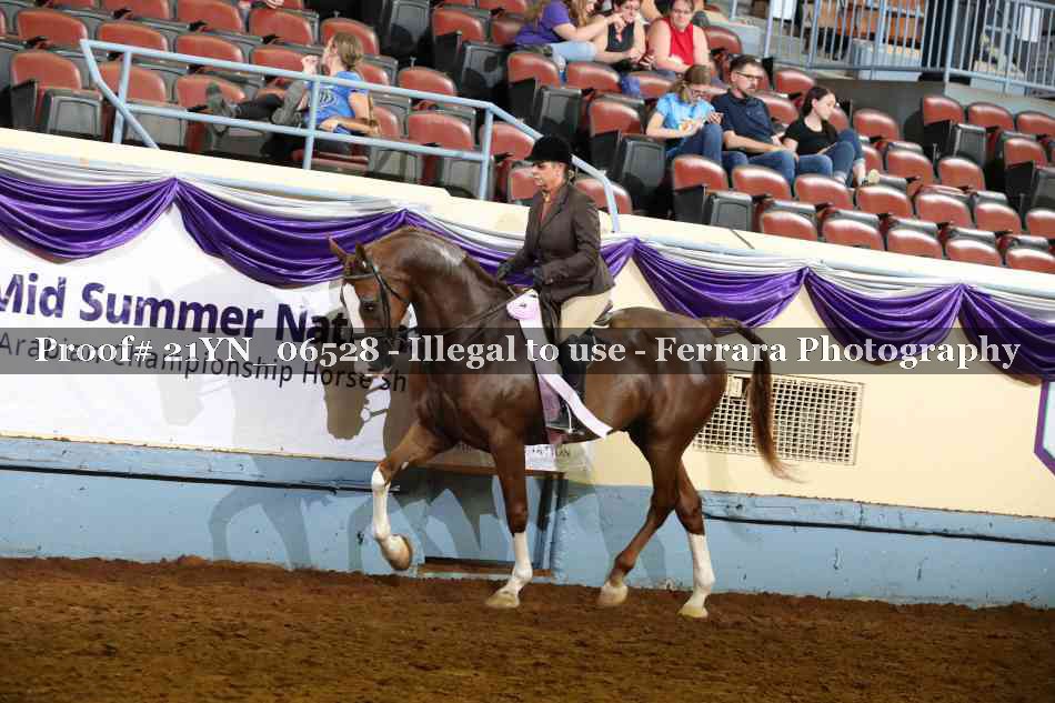 Proof 21YN_06528