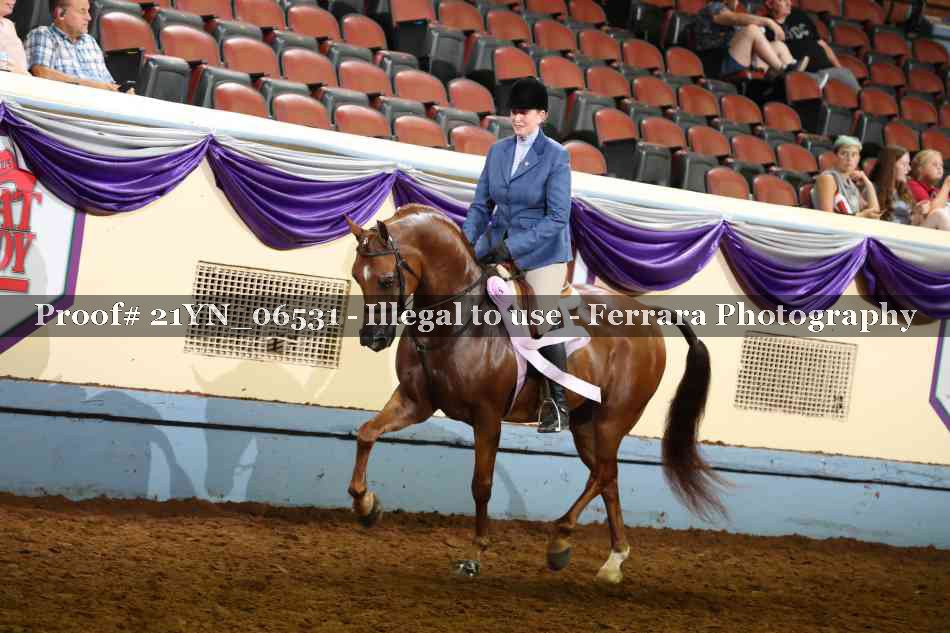 Proof 21YN_06531