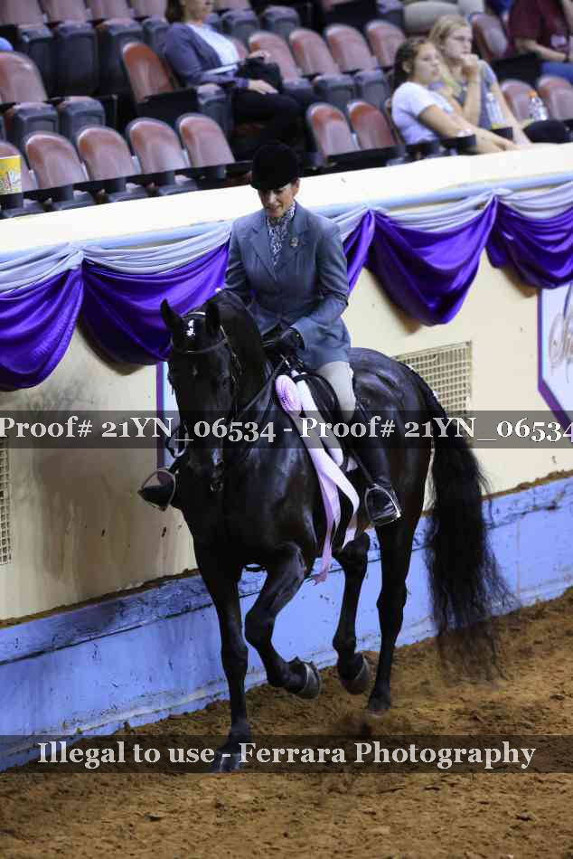 Proof 21YN_06534