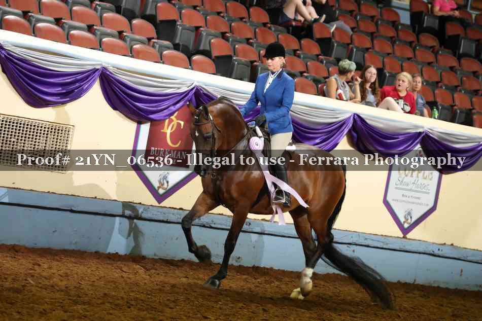 Proof 21YN_06536