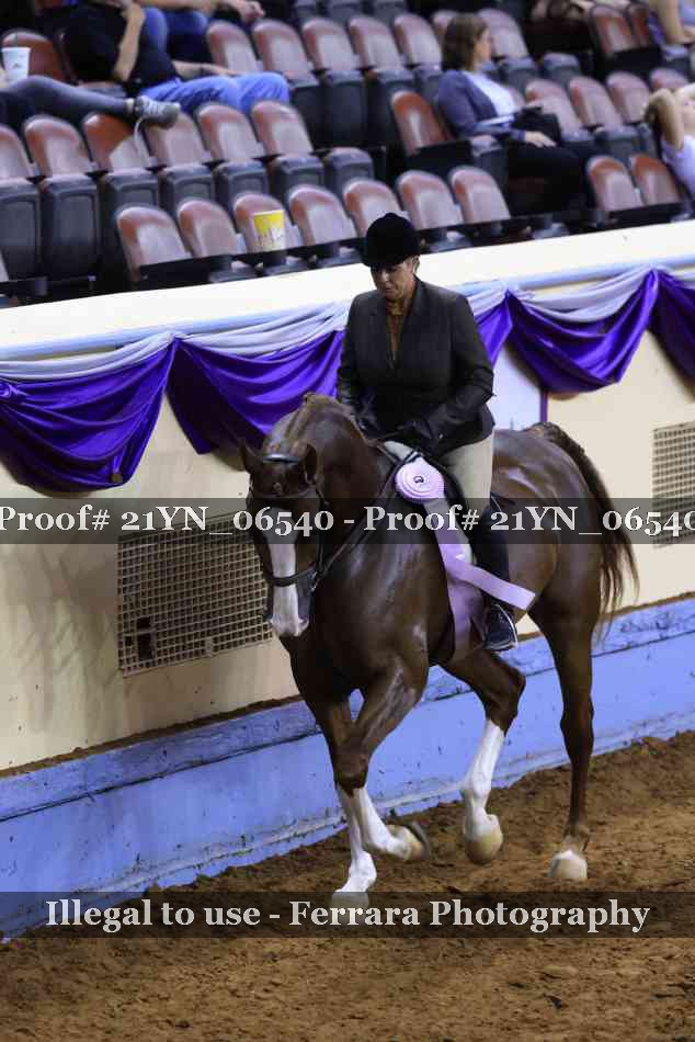 Proof 21YN_06540