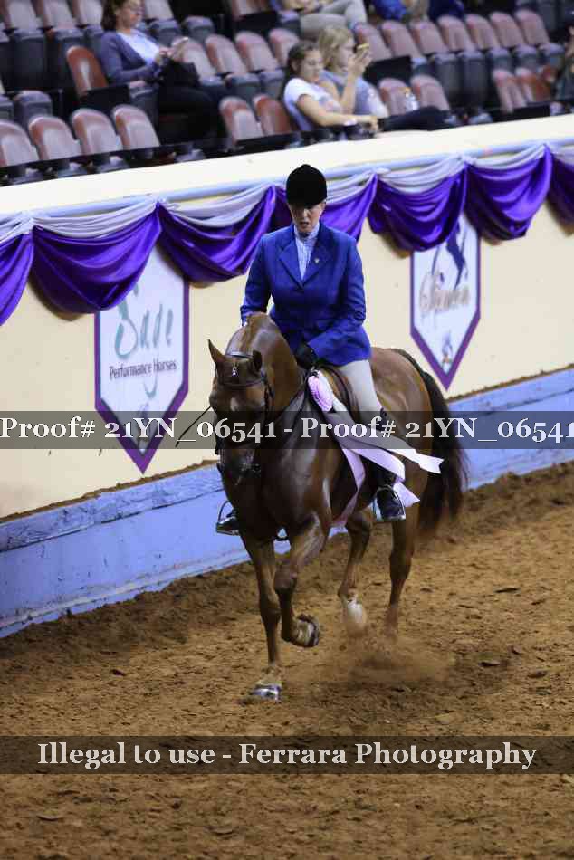 Proof 21YN_06541