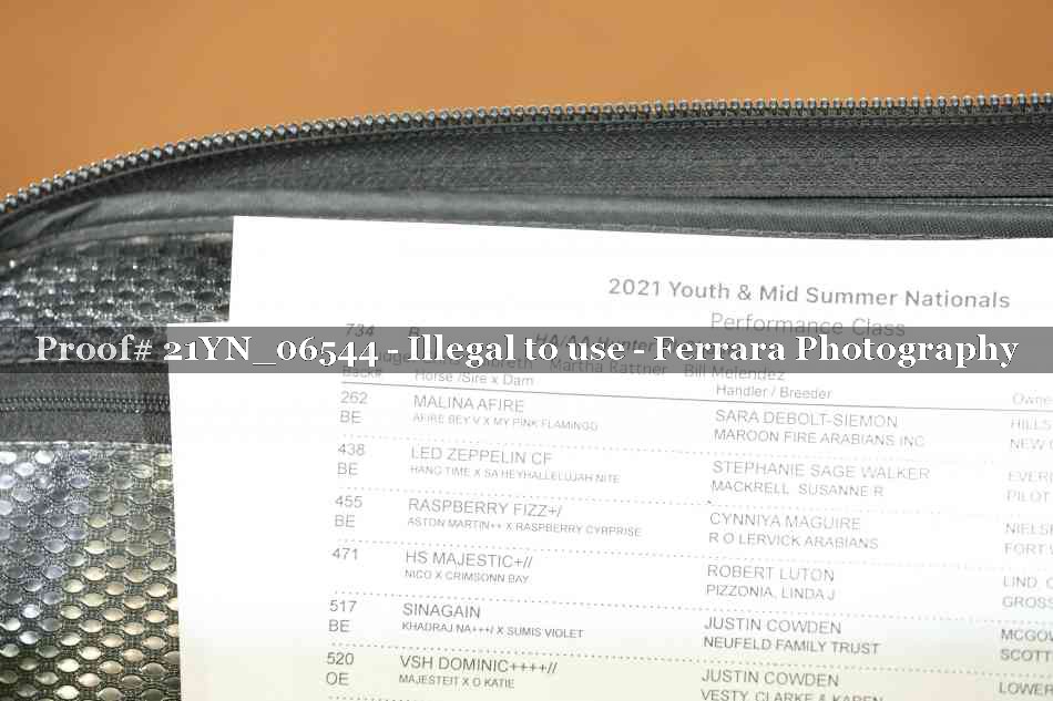 Proof 21YN_06544
