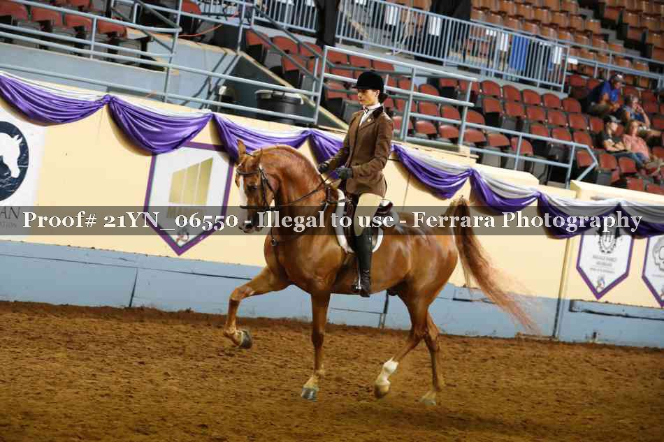 Proof 21YN_06550