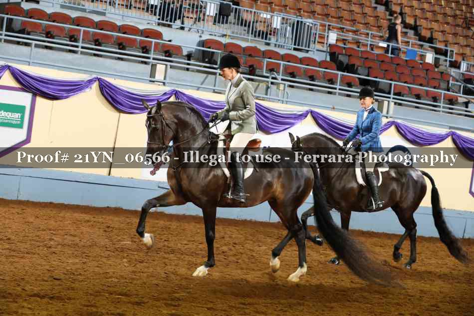 Proof 21YN_06566