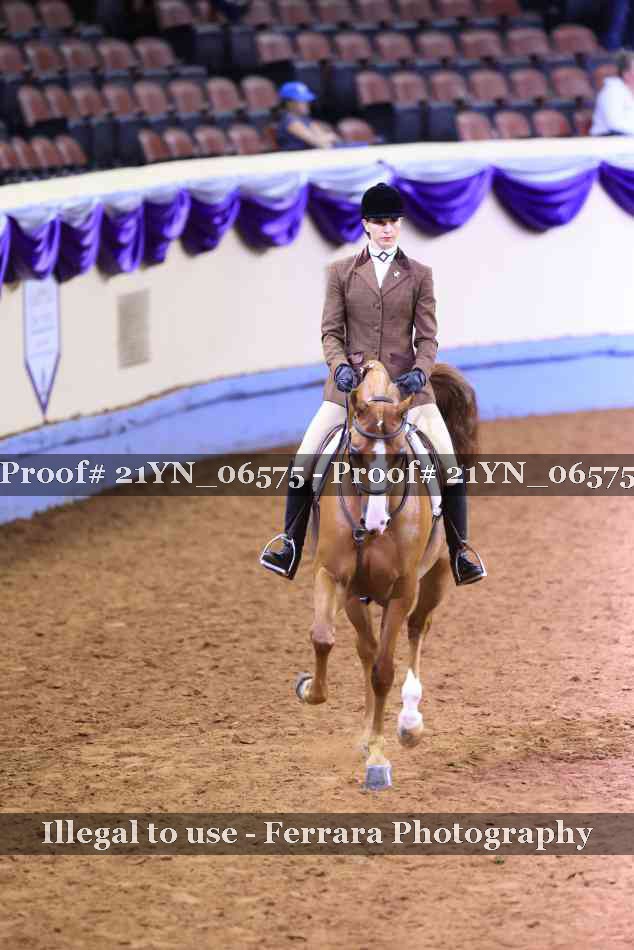 Proof 21YN_06575