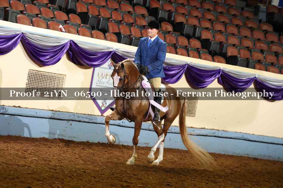 Proof 21YN_06590