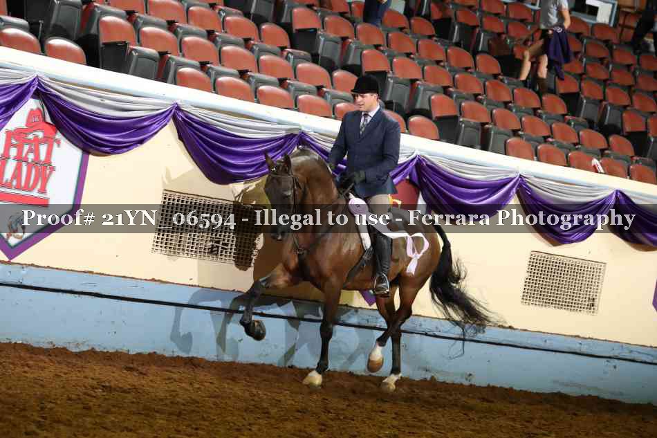 Proof 21YN_06594